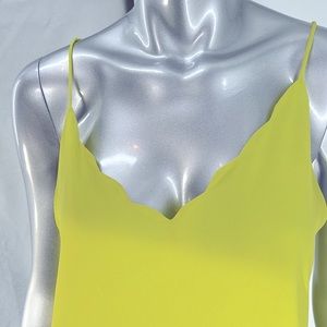 Naked Zebra Scalloped Tank Large